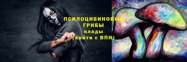 амф Белоозёрский