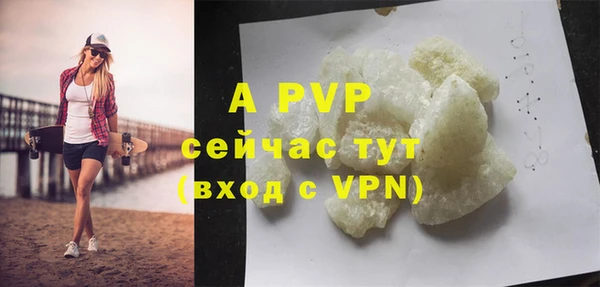 ешки Белокуриха