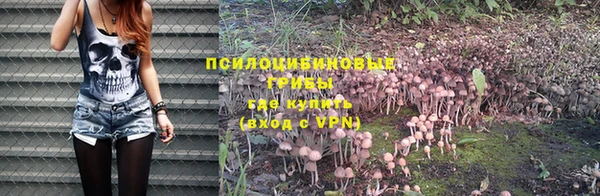 амф Белоозёрский
