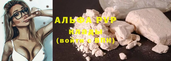 ешки Белокуриха